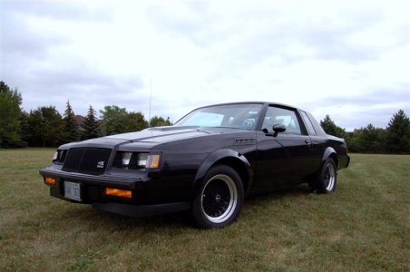 gnx037mediumdm3.jpg