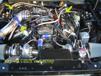 oil catch can setup.jpg