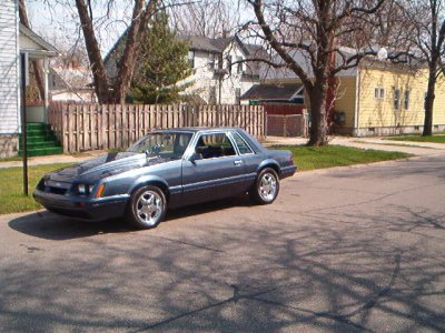 Copy of IM000222.JPG