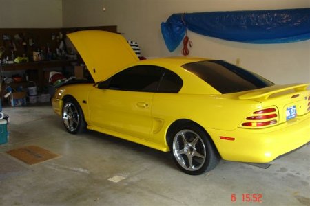 mustang 005.jpg