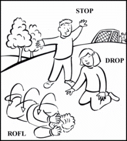 rofled4.gif