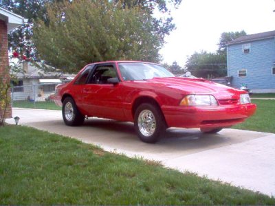 stangs 009.jpg