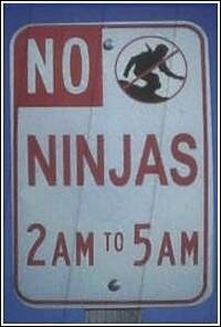 ninja.jpg