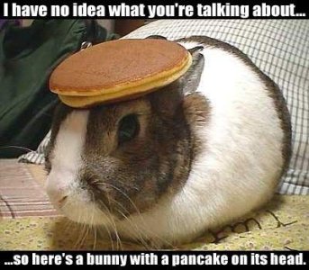 bunny_pancake[1].JPG