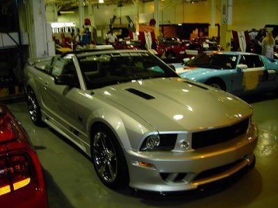 Picture 224small.JPG