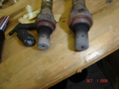 MSP 018.jpg