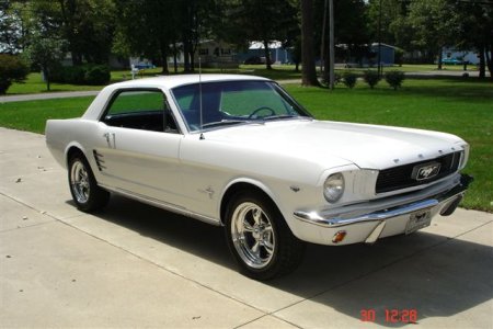 mustang 003.jpg