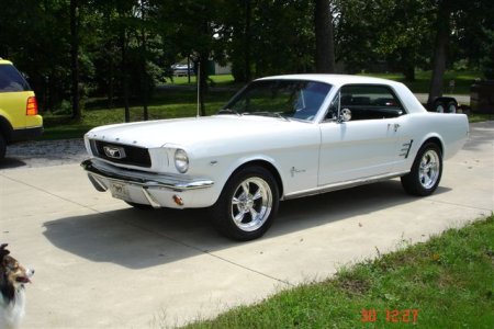 mustang 001.jpg