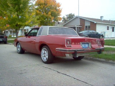 stangs 043.jpg