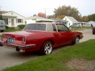 stangs 044.jpg