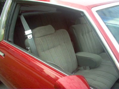 stangs 045.jpg