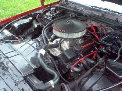 stangs 047.jpg