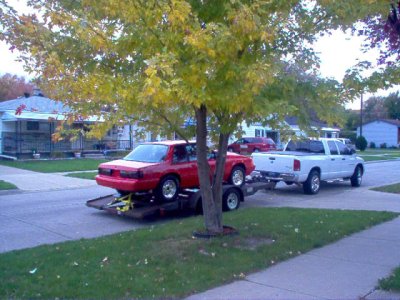 stangs.jpg