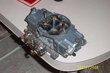 gator 012.jpg