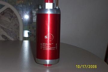 gator 017.jpg