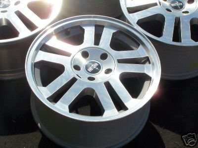 erins_wheels_2.jpg