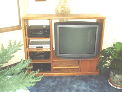 entertainment center.JPG