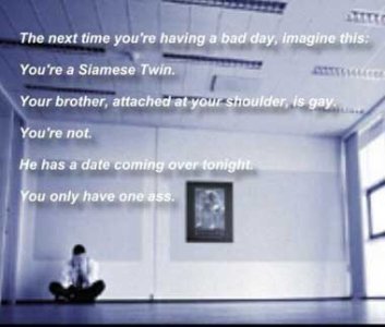 badday2211sw.jpg