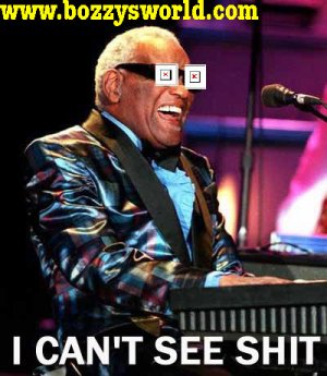 cantsee.jpg