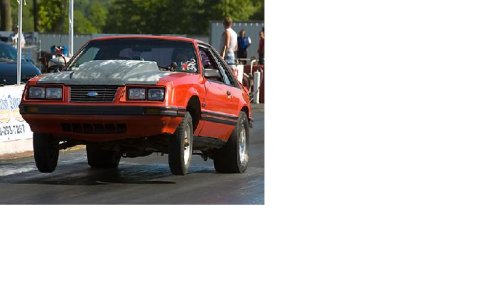 Mustang.jpg