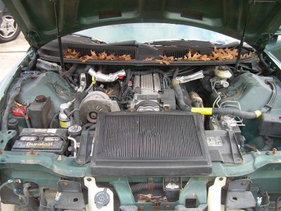 DSCN2140 (Medium).JPG
