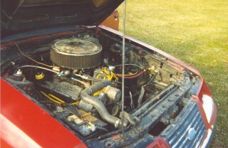 Mustang Engine.jpg