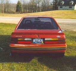 Mustang Rear End.jpg