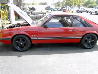 bmwmustang002.jpg
