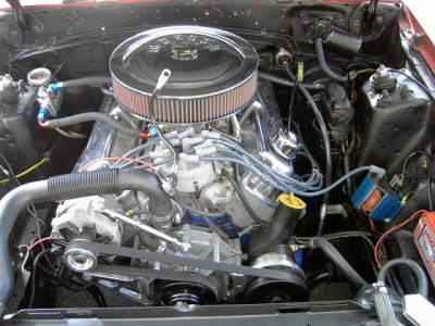 bmwmustang003.jpg