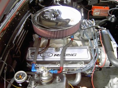 bmwmustang005.jpg