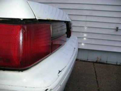 IMG_1452-trunk rs.jpg