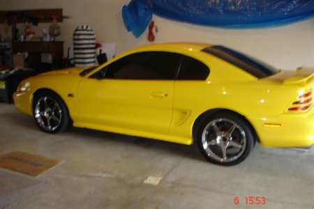 mustang 007.jpg