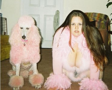 poodlechick8xv.jpg