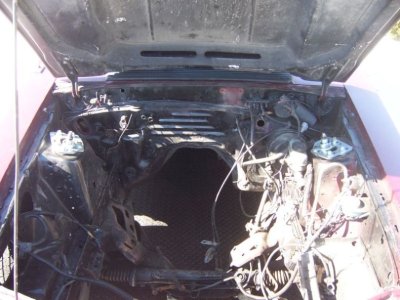 G-stang engine compartment-small.jpg