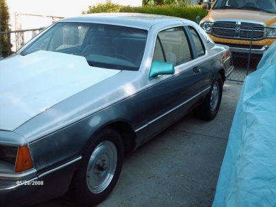 TBird resize 2.jpg