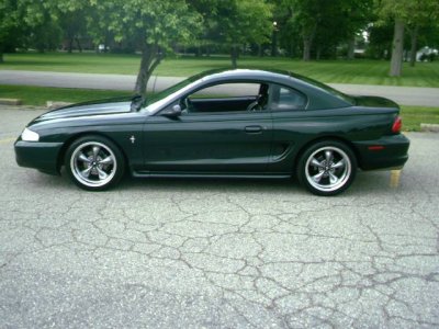 Mustang Pics 00002.JPG