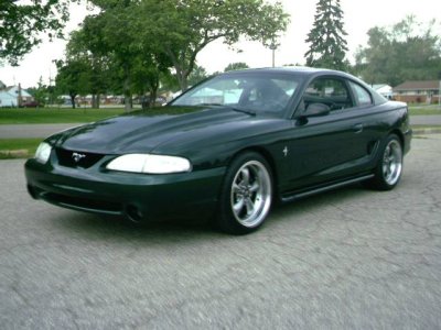 Mustang Pics 00004.JPG