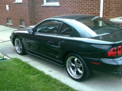 Mustang Pics 00000.JPG