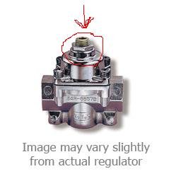 reg.JPG