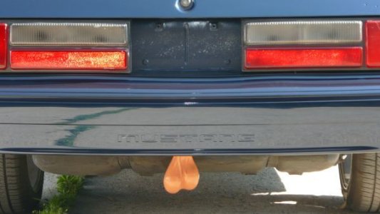 balls 2.jpg
