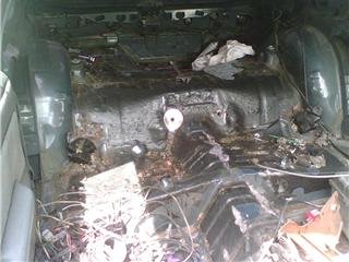 burnt1.jpg