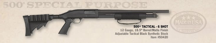 mossberg tactical gauge.jpg