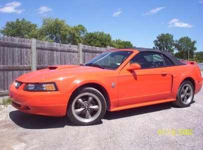 04 stang1.JPG