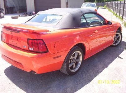 04stang2.JPG