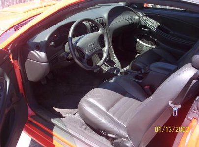 04stang3.JPG
