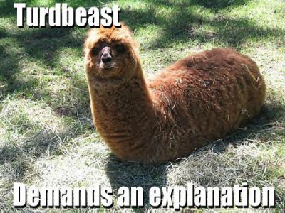 turdbeast.jpg