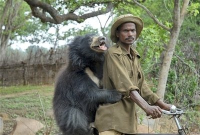 bearman.jpg