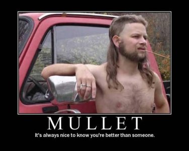 mullet.JPG