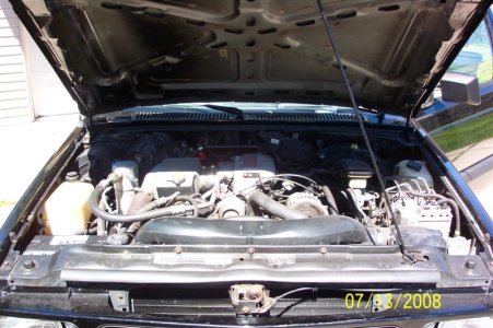 100_0254 (Medium).JPG