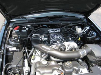 New Camera 038 (Small).jpg